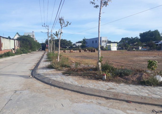 Đất nền dự án sát quốc lộ 1A – trạm thu phí Điện Bàn- Ngoại thành Đà Nẵng.