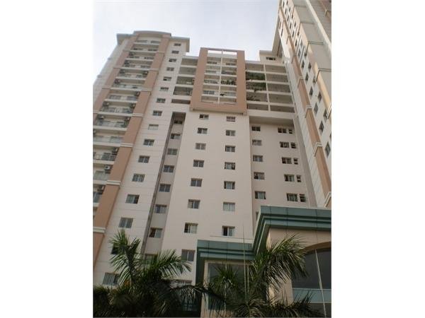 Cần cho thuê căn hộ Ruby Land Quận Tân Phú diện tích 75m2, 2pn, 2wc. Nội cơ bản lầu cao view đẹp giá 7.5tr/th