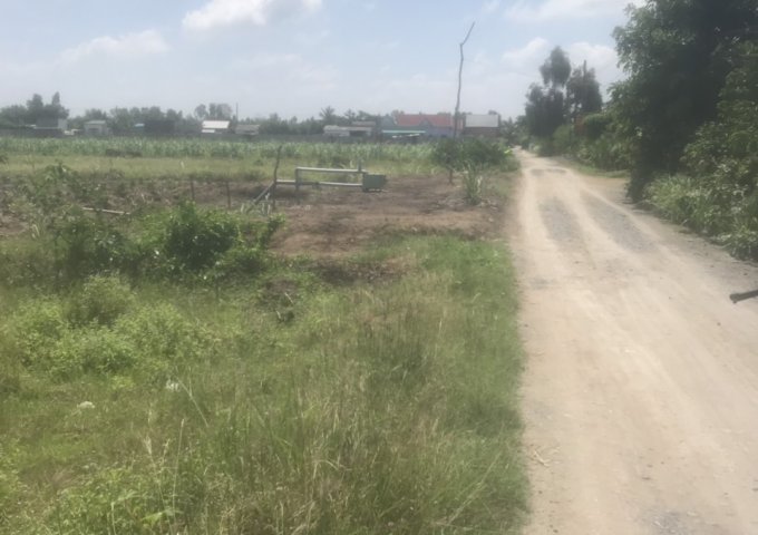 Bán 6 công đất trồng cây hàng năm thị trấn Thủ Thừa 