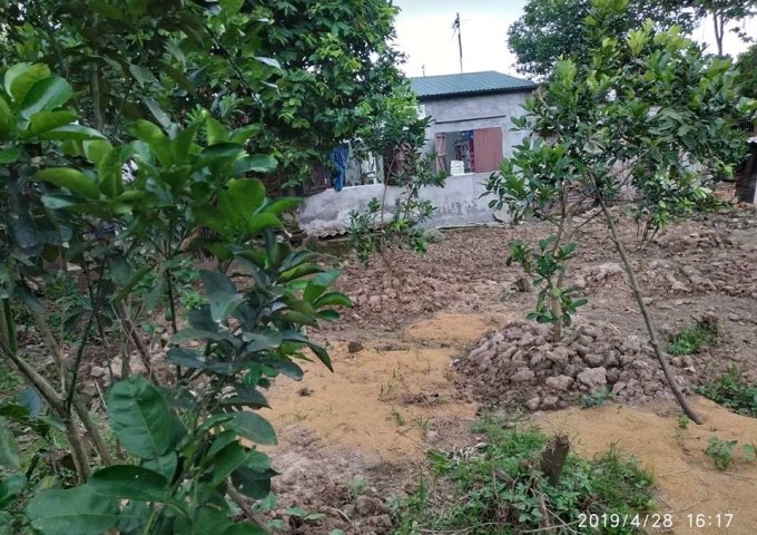 Nhà bác mình có mảnh đất ở Thôn Cựu - Vân Từ - Phú Xuyên - Hà Nội cần bán :