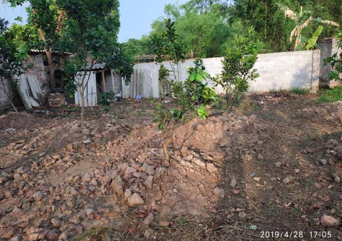 Nhà bác mình có mảnh đất ở Thôn Cựu - Vân Từ - Phú Xuyên - Hà Nội cần bán :