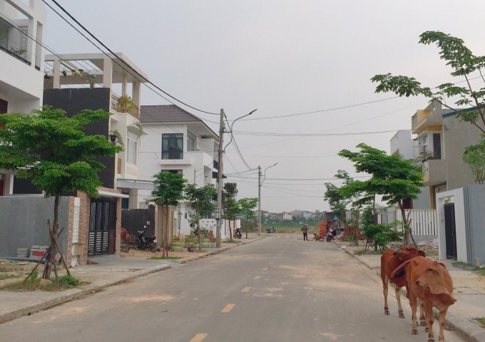 Bán Lô Đất Khu Quy Hoạch Bàu Vá Giai Đoạn 3 Đợt 1 TP Huế