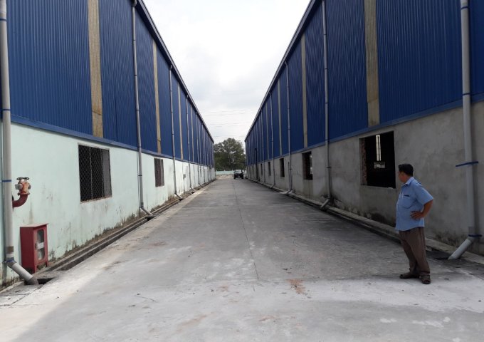 Bán kho, nhà xưởng tại Thuận An,  Bình Dương diện tích 1ha  giá 9.5 Triệu/m²