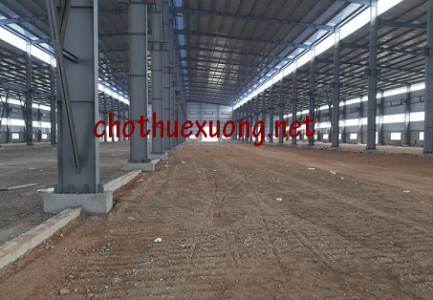 Cho thuê xưởng mới xây tại Quán Gỏi Bình Giang Hải Dương DT 8000m2 giá tốt