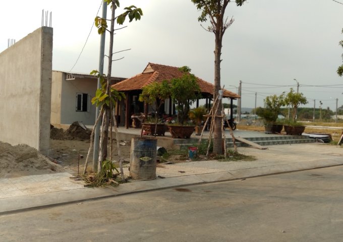 20 suất nội bộ, dự án Lotus Riverside, mặt tiền đường Nguyễn Trung Trực, giá 739 triệu, DT 100m2, SHR, Liên hệ 0904508143