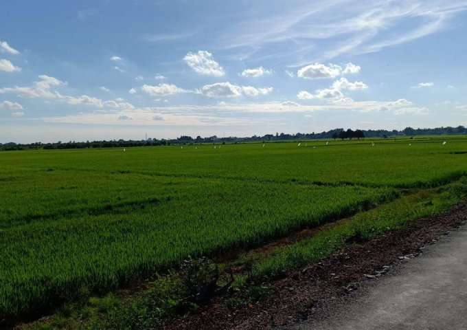 Chính chủ cần bán đất MẶT TIỀN đường nhựa KDC hiện hữu xã Tiên Thuận, Bến Cầu, Tây Ninh