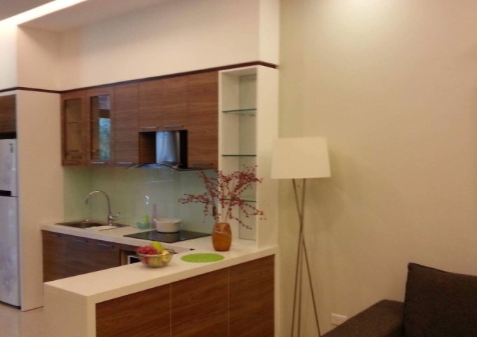 Cho thuê căn hộ chung cư tại Dự án Tràng An Complex diện tích 92m2  giá 15 Triệu/tháng