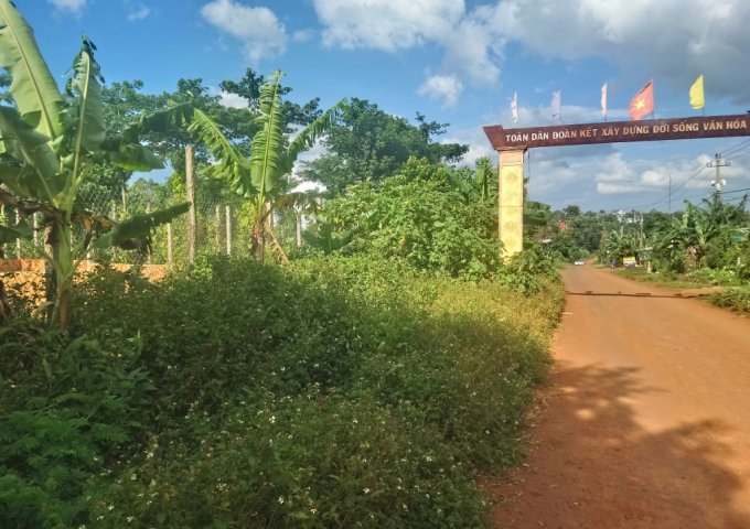 Bán đất nông nghiệp chính chủ tại thị xã Buôn Hồ, Tỉnh Đắk Lắk