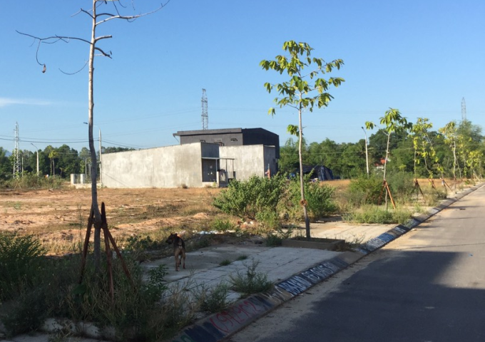 Bán đất tại Phường Trường Xuân, Tam Kỳ,  Quảng Nam diện tích 100m2