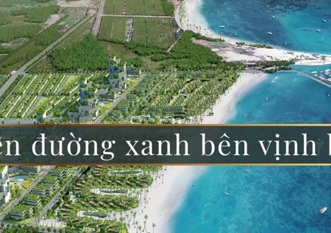 Thanh Long Bay - tài sản biển đẳng cấp khan hiếm tại Bình Thuận