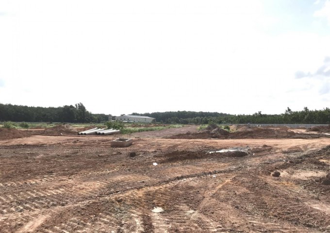 Bán đất nền dự án tại Xã Hội Nghĩa, Tân Uyên,  Bình Dương diện tích 110m2  giá 799 Triệu