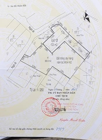 Bán đất tại thành phố Hạ Long, Quảng Ninh. Diện tích: 369.5 m2