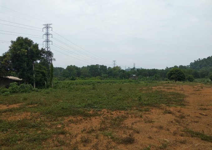 Cần tiền bán gấp mảnh đất 8570m2 xã Hòa Sơn, huyện Lương Sơn, HB.