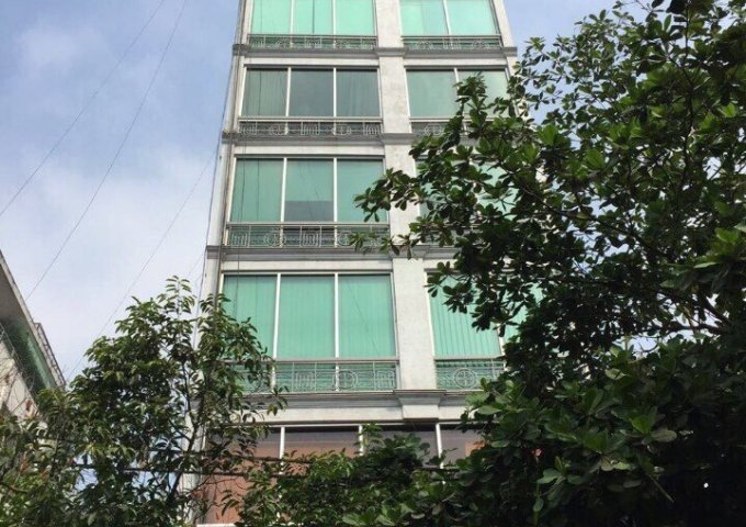 Cho thuê nguyên căn MT Hồ Tùng Mậu, P. Bến Nghé, Q1. DT 4x17m, 6 tầng, 138.9tr/th, đối diện Bitexco