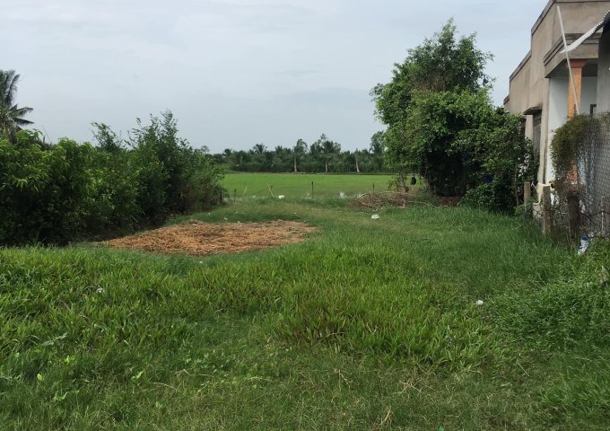 Cần bán đất tại Xã Long Hòa, Bình Đại,  Bến Tre diện tích 6,000m2