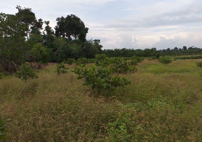 Cần bán 2 thửa đất tại tỉnh Đồng Nai, tiềm năng sinh lời cao, giá tốt.