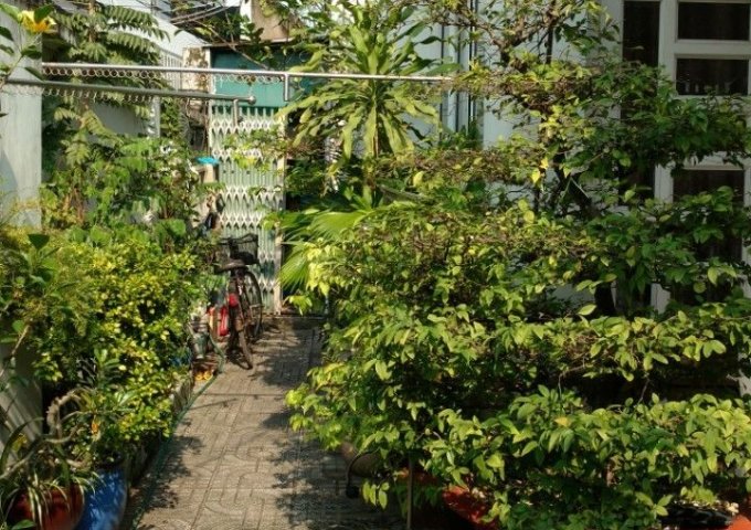 Cho thuê nhà mặt phố tại Phường An Phú, Quận 2,  Hồ Chí Minh diện tích 168m2  giá 35 Triệu/tháng