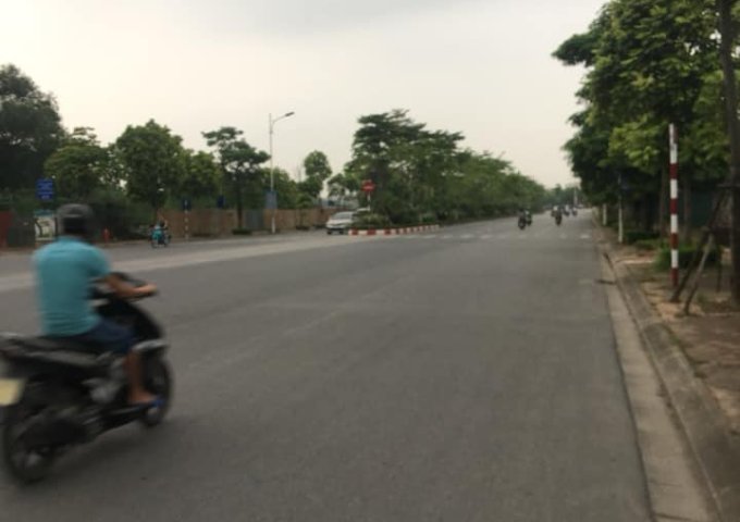  Dự án đầu tư đất nền siêu lợi nhuận ở Phúc Lợi,Long Biên,Hà Nội. 