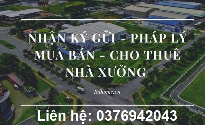 Cho thuê nhà xưởng Tân Phước Khánh, diện tích 1300m2, xưởng mới xây đẹp.