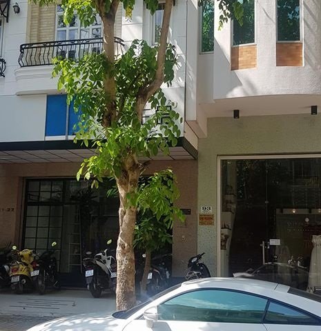 Cho thuê nguyên căn nhà phố vừa ở vừa làm văn phòng khu phố Hưng Phước Q7