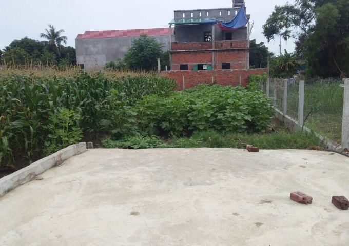 Bán đất tại Phường Quảng Phú, Quảng Ngãi,  Quảng Ngãi diện tích 95m2  giá 800 Triệu