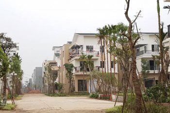 Bán căn liền kề  và biệt thự dự án Trầu Cau Bắc Ninh 