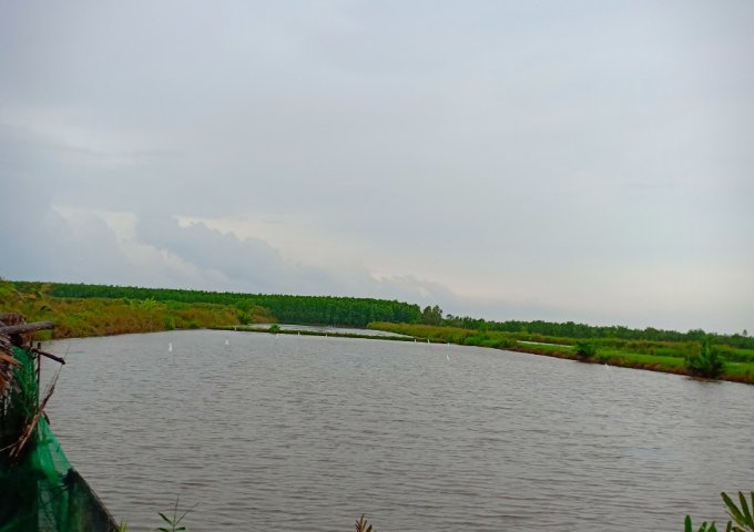 Bán đất Nông nghiệp và Rừng, đất Vuông tôm, đất nền tại huyện U Minh, Cà Mau.