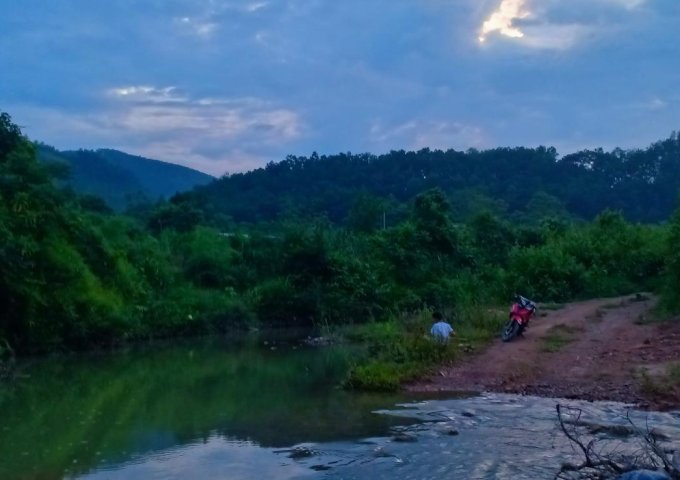 BÁN GẤP 1.4 HA ĐẤT LƯƠNG SƠN LÀM DU LỊCH HOMESTAY CÓ SUỐI, AO THẾ ĐẤT THUNG LŨNG TUYỆT ĐẸP GIÁ MỀM NHƯ BÚN