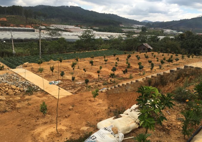 ✅✅✅Bán đất làm dự án khu du lịch vườn cây ăn trái Đạ Sar - Lạc Dương- Lâm Đồng giá 22 tỷ.