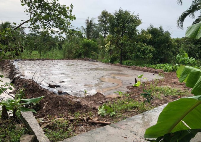 Bán nền khu vực Phú Mỹ, P. Thường Thạnh, Q. Cái Răng, TPCT