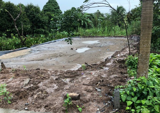 Bán nền khu vực Phú Mỹ, P. Thường Thạnh, Q. Cái Răng, TPCT