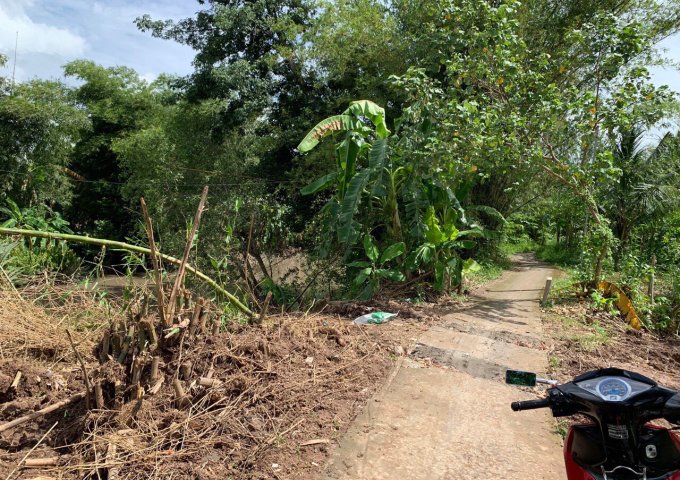 Bán nền khu vực Phú Mỹ, P. Thường Thạnh, Q. Cái Răng, TPCT