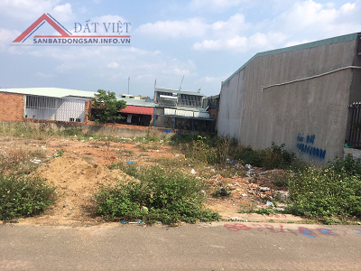 Chính chủ cần bán gấp đất xã Thuận Tiến, huyện Đồng Phú, Bình Phước. Cách vòng xoay Suối Cam 50m