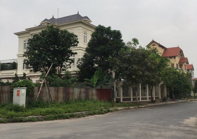 Bán nhà riêng tại Dự án New City Phố Nối, Yên Mỹ,  Hưng Yên diện tích 102m2  giá 9.2 Triệu/m²