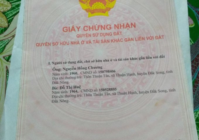 Bán đất sổ hồng riêng mặt tiền Hồ Văn Long, Tân Tạo, Bình Tân