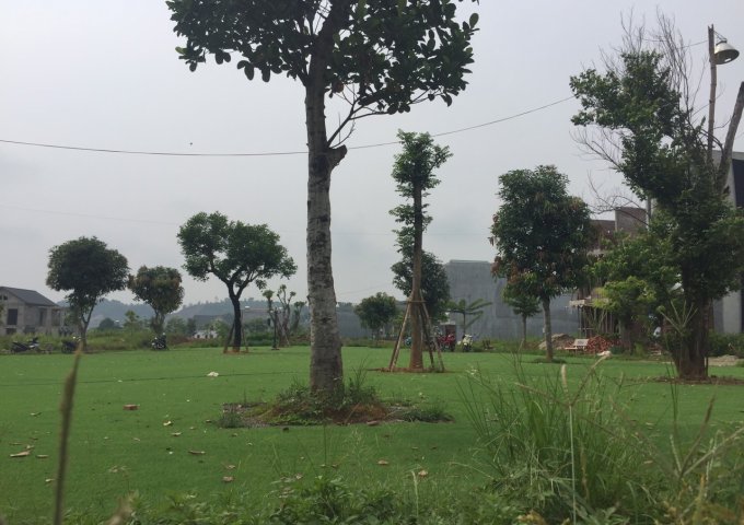 Bán đất biệt thự gần hồ điều hòa 560tr Tp Lào Cai.