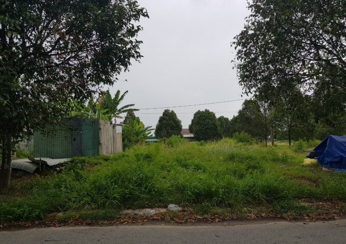 Bán đất KDC Phú Tân gần trường mầm non Phú Tân.