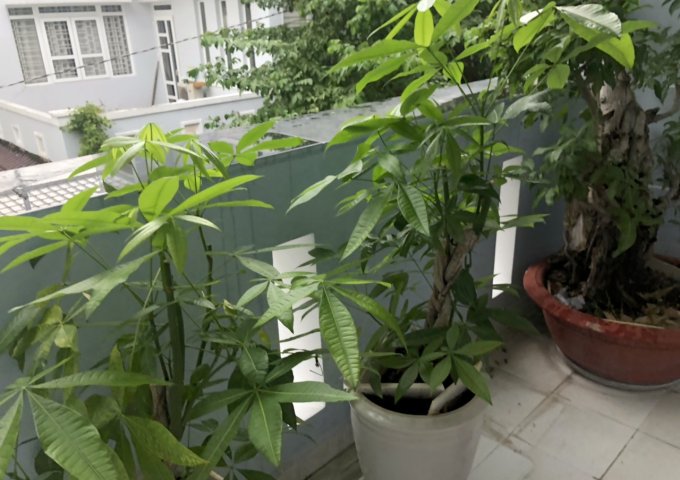  Cần bán căn nhà 386/5i Lê Văn Sỹ, quận 3. Lh:0909762000 - 0708 510510