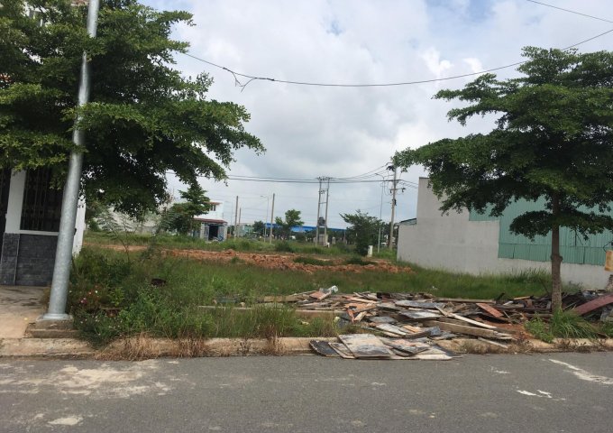 Bán đất nền dự án tại Dự án Khu Đô Thị E.City Tân Đức, Đức Hòa,  Long An ,  giá 1.3 Tỷ