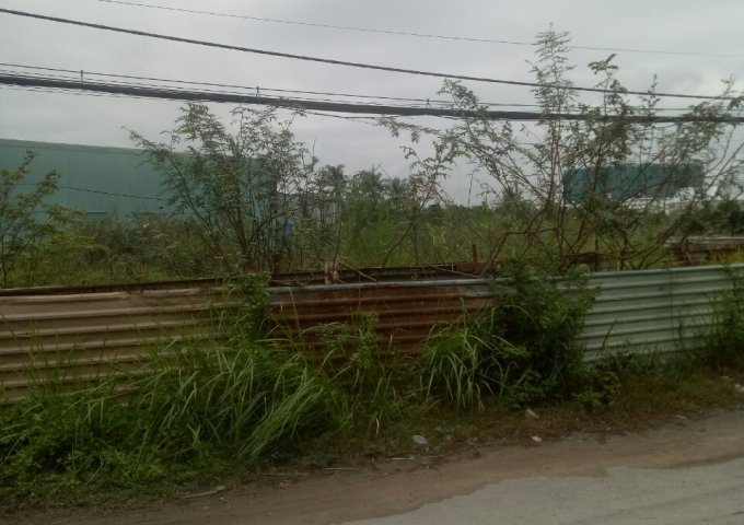 Kẹt tiền cần bán lô đất nền tại Đường Bưu Ông Thoàn, Phú Hữu, Quận 9.