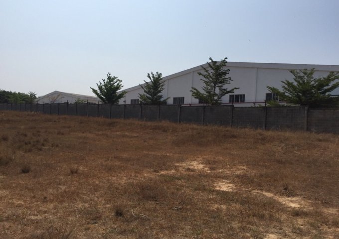 Cho thuê đất xây dựng nhà xưởng gần vòng xoay An Điền,  Bình Dương diện tích 45,000m2  giá 2,5usd/m2