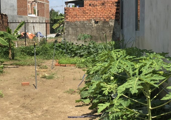 Bán đất Nhơn Trạch, mặt tiền Lý Thường Kiệt, cách phà Cát Lái 3km, giá 2tỷ8