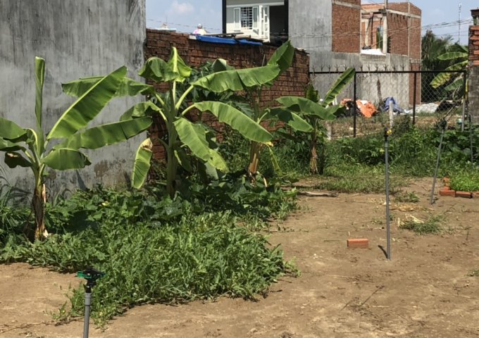 Bán đất Nhơn Trạch, mặt tiền Lý Thường Kiệt, cách phà Cát Lái 3km, giá 2tỷ8