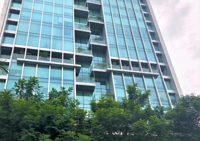 Văn phòng cho thuê mặt phố 36 Hoàng Cầu, tòa Geleximco, văn phòng chuyên nghiệp, DT 120m2.