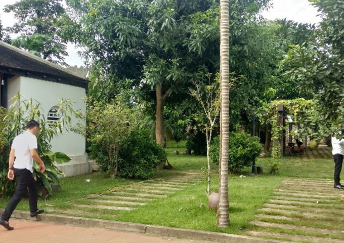 Bán 3 lô đất chính chủ tại H. Thạch Thất và H. Quốc Oai, Hà Nội