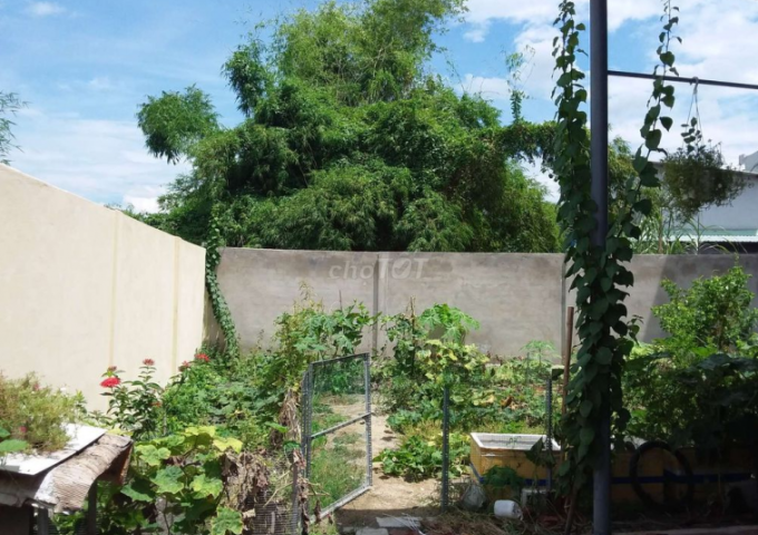Nhà vườn, mới xây cuối năm 2018 cho thuê 