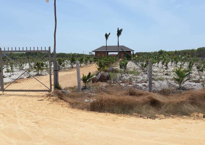 Đất nền ven biển Lagi - Bình Thuận, gần Bãi Tắm Cam Bình , SHR, giá chỉ 1 tỷ/1000m2