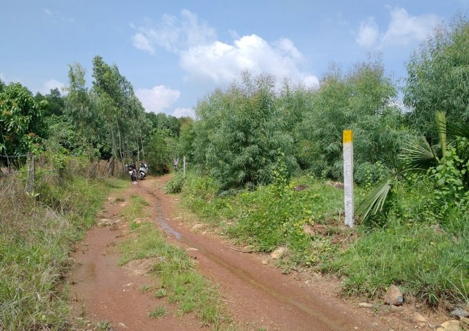 Bán 2,3 Mẫu đất xã Tân Xuân, Huyện Hàm Tân, Bình Thuận gần quốc lộ 55