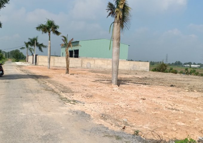 Bán gấp lô đất 221m2 Đường Nguyễn Kim Cương , Tân Thạnh Đông Củ Chi giá bất ngờ