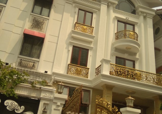 Cho thuê nhà phố Nguyễn Cơ Thạch, nhà cực đẹp kiểu biệt thự, phù hợp nhiều loại hình kinh doanh